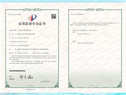 带固定装置的载车平台
